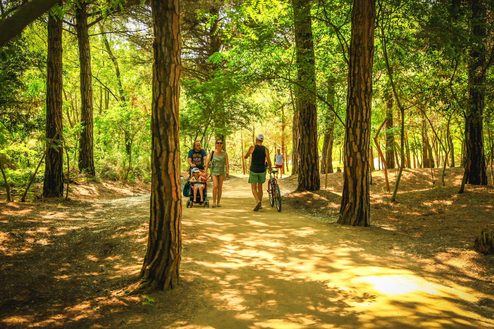 Camping Parco Capraro Лидо ди Йезоло Екстериор снимка